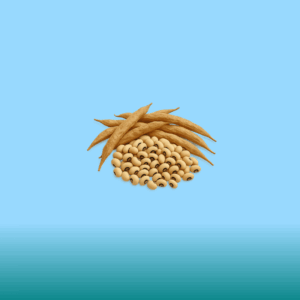 Beans