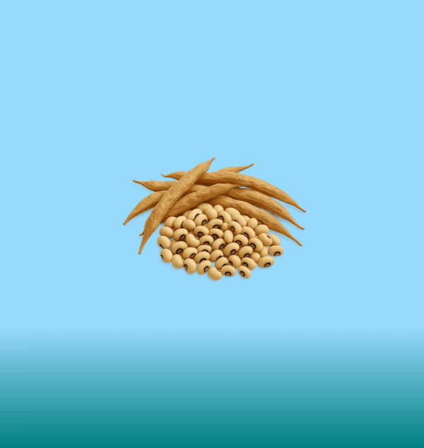 Beans