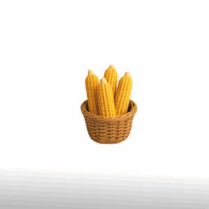 Dried Corn