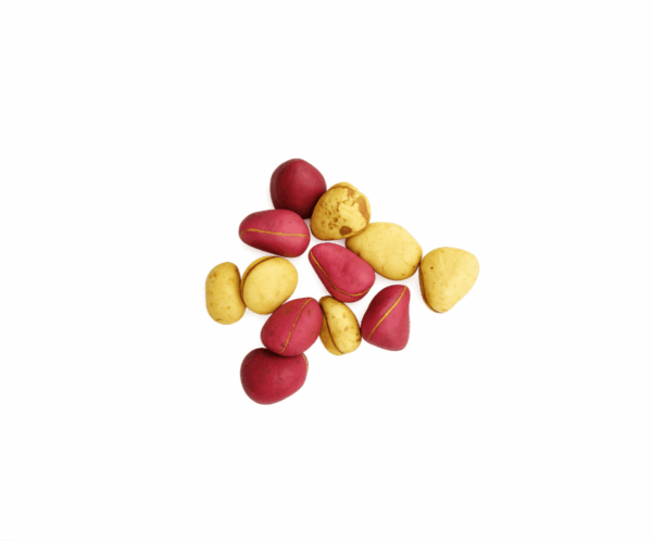 Kola Nut