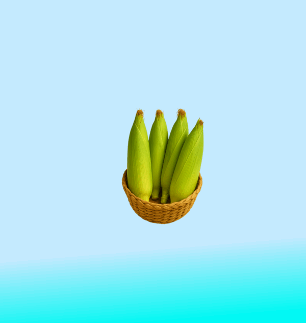 Fresh Corns